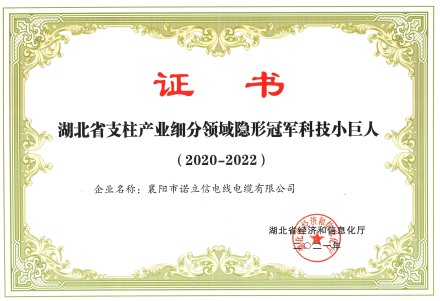 隱形冠軍