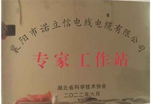 熱烈祝賀諾立信電線電纜公司獲得國家級知識產權優勢企業榮譽稱號